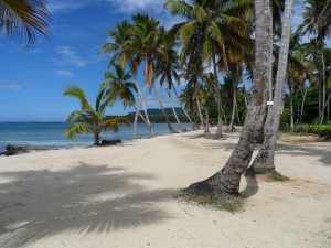 Weg zum Hotel in las Galeras